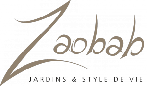 Logo_zaobab_fond transparent